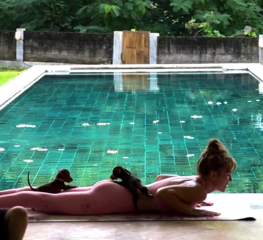 Bali: Puppy Yoga Class - Rescue Puppies & Refreshing Drinks - What is Puppy Yoga in Bali?