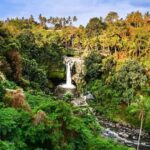 Bali Quad BIKE :ATV Ride in Ubud through Tunnel, Rice Fields - The Itinerary in Detail