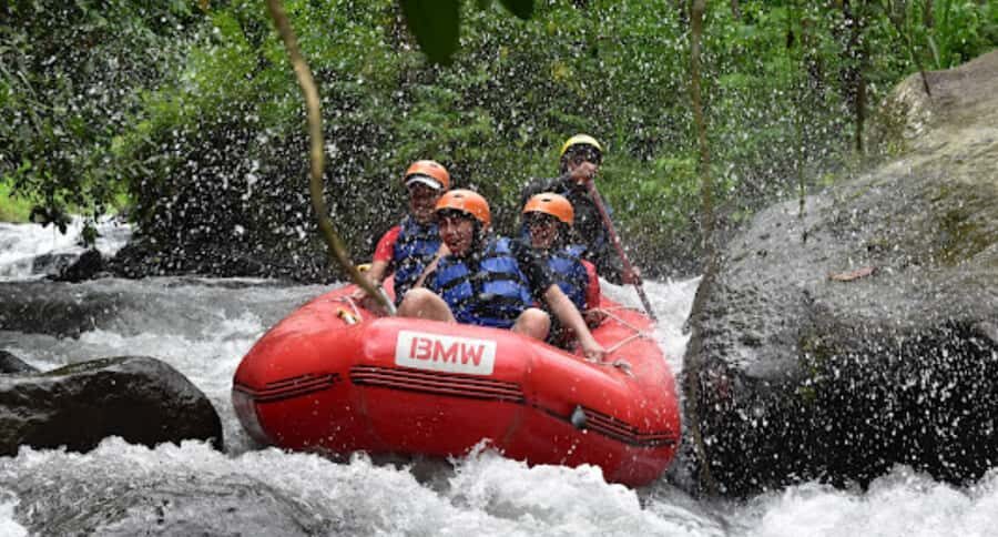 Bali Rafting: River Rafting with Zipline Down to the River - Who Should Consider This Tour?