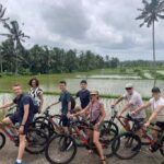 Bali: Rice Field and Village Cycling Tour with Guide - A Closer Look at the Bali Rice Field and Village Cycling Experience