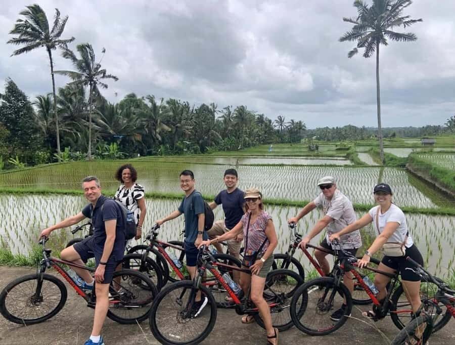 Bali: Rice Field and Village Cycling Tour with Guide - A Closer Look at the Bali Rice Field and Village Cycling Experience
