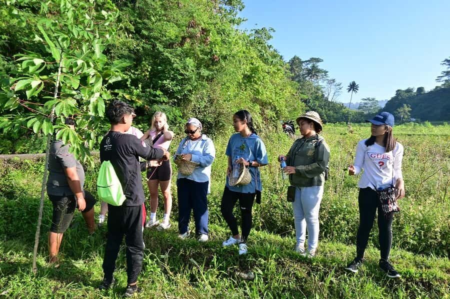 Bali Rice Terraces & Cultural Temples Tour - What to Expect: A Closer Look at the Itinerary