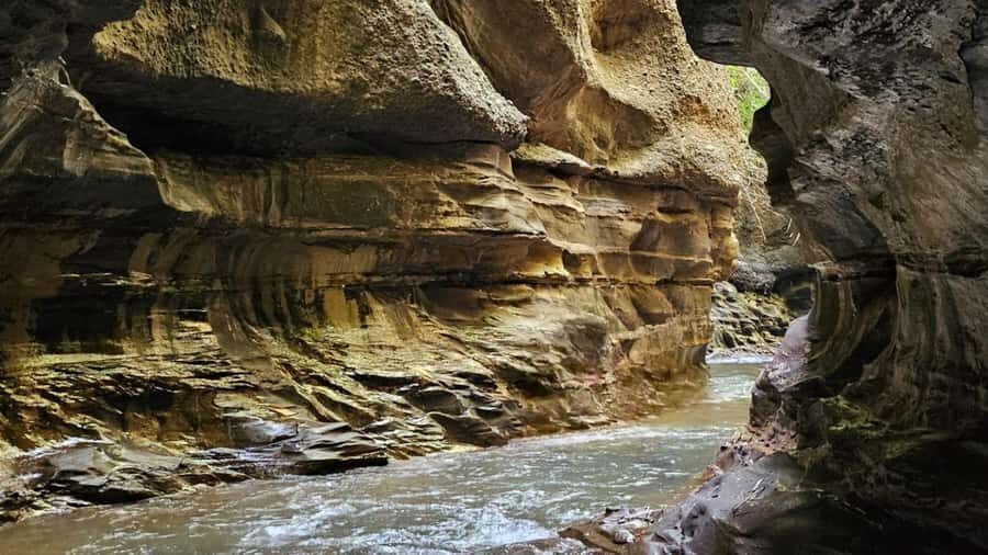 Bali: Rural Trekking and River Adventure Tour - Who Will Love This Tour?