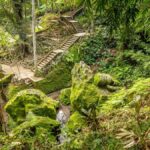 Bali: Sacred Cave to Blue Lagoon, Waterfall & Sea Experience - Final Thoughts: Who Will Love This Tour?