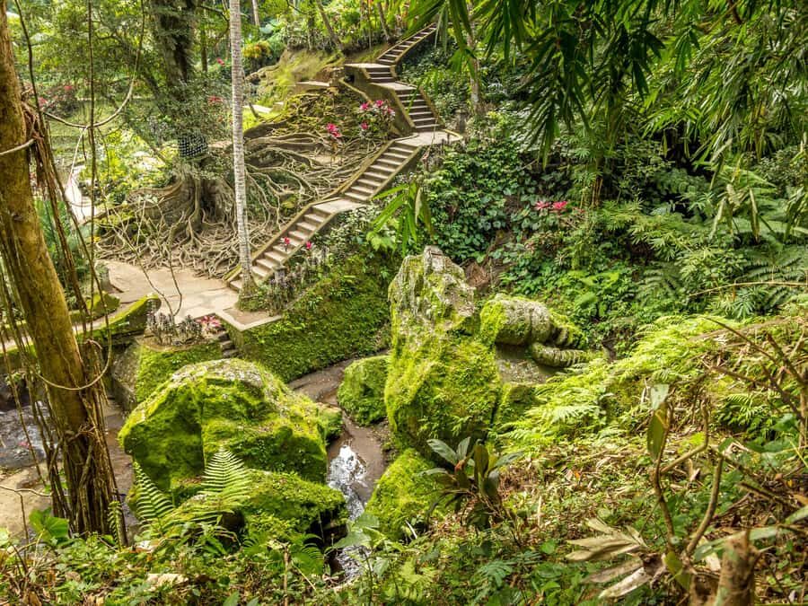 Bali: Sacred Cave to Blue Lagoon, Waterfall & Sea Experience - Final Thoughts: Who Will Love This Tour?