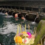 Bali: Sacred Monkey Forest, Rice Terraces & Ritual Tour - Practical Details & Tips