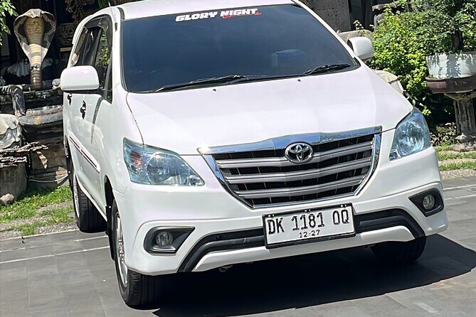 Bali Samanic Healing Purification Natural - Why This Experience Offers Great Value