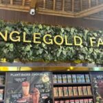 Bali: Sangeh Monkey Forest, Chocolate Factory & Temple Tour - Practicalities & Experience Details