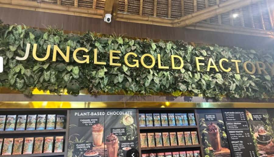 Bali: Sangeh Monkey Forest, Chocolate Factory & Temple Tour - Practicalities & Experience Details