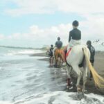 Bali: Sanur Horse Riding for Beginner Experience - Overview of the Experience