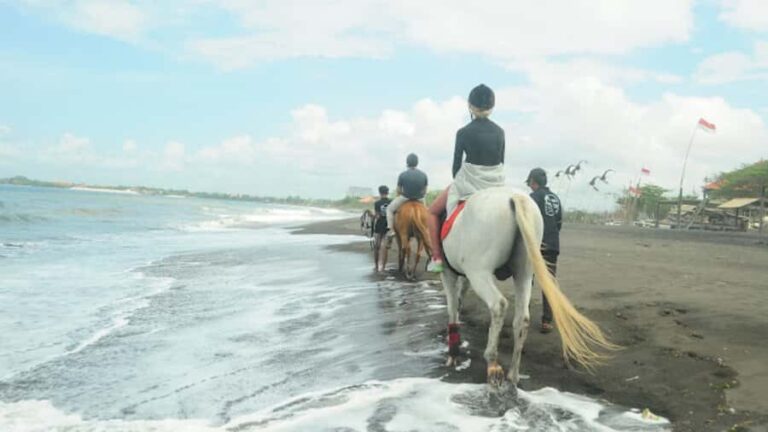 Bali: Sanur Horse Riding for Beginner Experience - Overview of the Experience