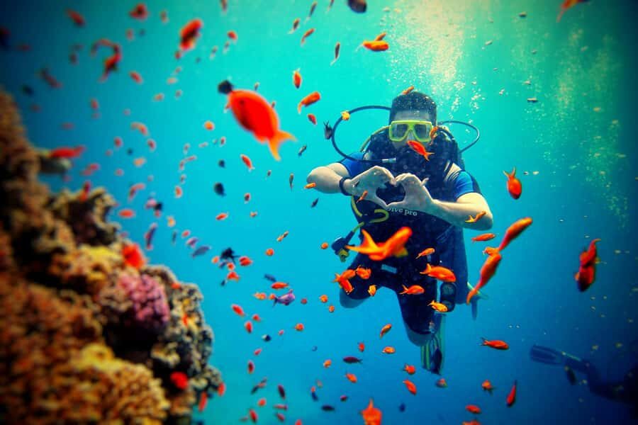 Bali: Scuba Diving Experience for Beginners and Families - How the Experience Breaks Down