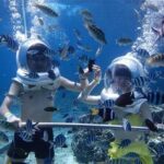 Bali Sea Walker Watersport - What to Expect During Your Sea Walker Experience
