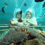 Bali: Sea Walker Watersport Nusa Dua With Hotel Transfer - The Itinerary and Its Appeal