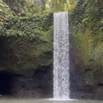 Bali: Secret Cascades & Tegalalang Sky Swing Tour - What Makes This Tour Special?