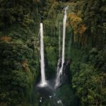 Bali: sekumpul Waterfalls, Rice Terraces, and fuji waterfall - What Makes This Tour Special?