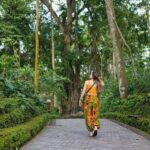 Bali Shore Excursion: Ubud, Rice Terraces & Waterfall - Exploring Bali on a Shore Excursion: What’s Included and What to Expect