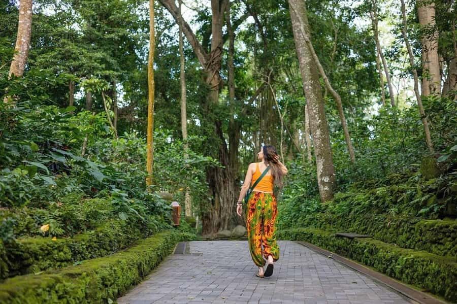 Bali Shore Excursion: Ubud, Rice Terraces & Waterfall - Exploring Bali on a Shore Excursion: What’s Included and What to Expect