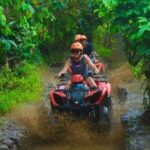 Bali Shore Excursions From Celukan Bawang Cruise Port Day Tour - Who Would Love This Tour?