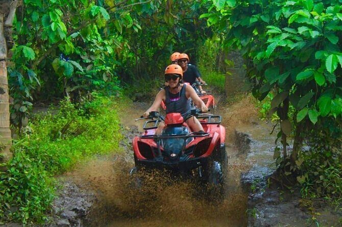 Bali Shore Excursions From Celukan Bawang Cruise Port Day Tour - Who Would Love This Tour?