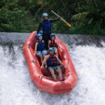 Bali Sidemen: Private Telaga Waja River Rafting With Lunch - Why This Tour Offers Great Value