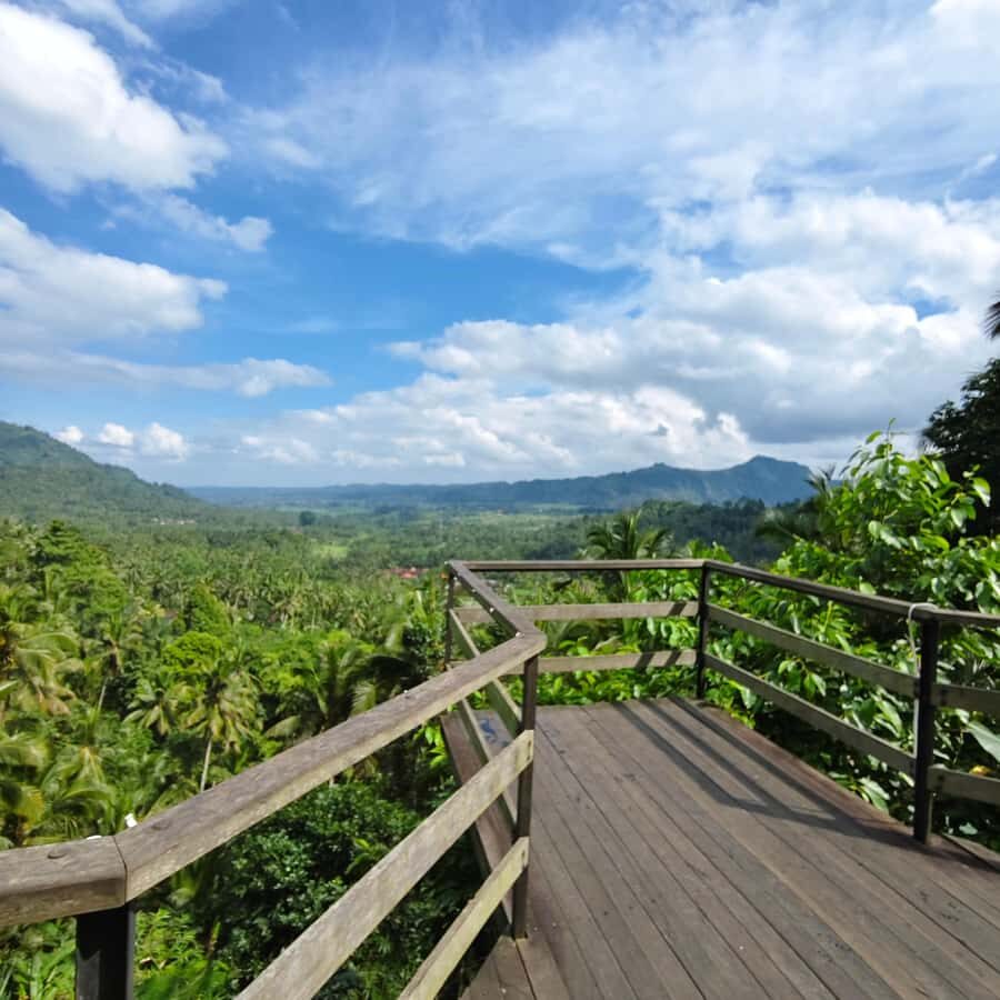 Bali: Sidemen Waterfall tour and temple purification - Authenticity and Value