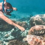 Bali Snorkeling at Blue Lagoon and Tanjung Jepun - What’s Included and What to Expect