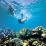 Bali Snorkeling at Blue Lagoon with Private Transfer - An In-Depth Look at the Bali Snorkeling at Blue Lagoon Tour