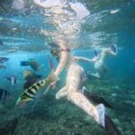 Bali: Snorkeling Experience in Blue Lagoon and Tanjung Jepun - What Makes This Snorkeling Tour Stand Out