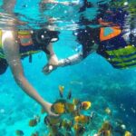 Bali: Snorkeling Tour with USAT Liberty Shipwreck - The Itinerary: What You Can Expect