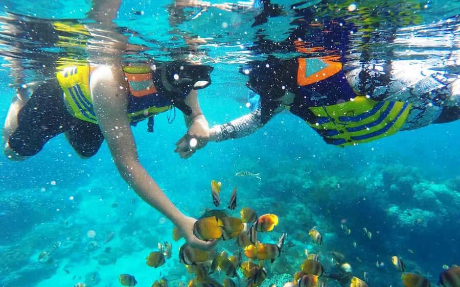 Bali: Snorkeling Tour with USAT Liberty Shipwreck - The Itinerary: What You Can Expect