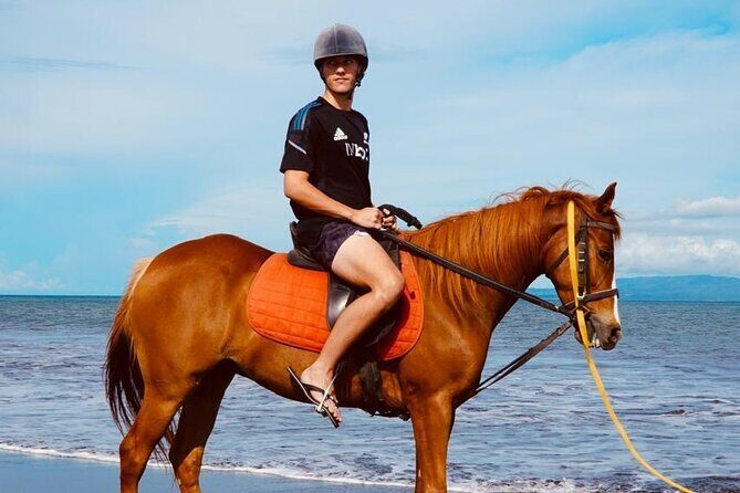 Bali Sunrise Horse Riding Experience Include Transfer - The Itinerary Breakdown