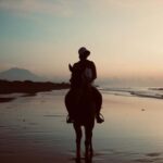 Bali: Sunrise Horse Riding Sanur Beach Experience - A Detailed Look at the Bali Sunrise Horse Riding Experience