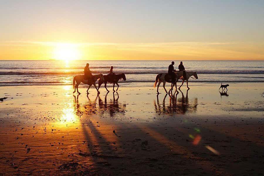 Bali Sunset Horse Ride by the Kedungu Beach - The Ride: What to Expect