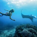 Bali: Swim with Manta Rays in Penida, Optional Lunch & Kayak - Snorkeling with Manta Rays and Other Marine Life