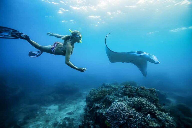 Bali: Swim with Manta Rays in Penida, Optional Lunch & Kayak - Snorkeling with Manta Rays and Other Marine Life