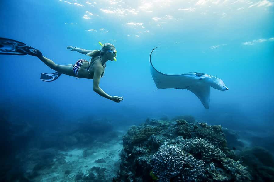 Bali: Swim with Manta Rays in Penida, Optional Lunch & Kayak - Snorkeling with Manta Rays and Other Marine Life