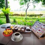 Bali: Taman Ayun, Jatiluwih, Ulun Danu, and Monkey Forest - Who is This Tour Best For?