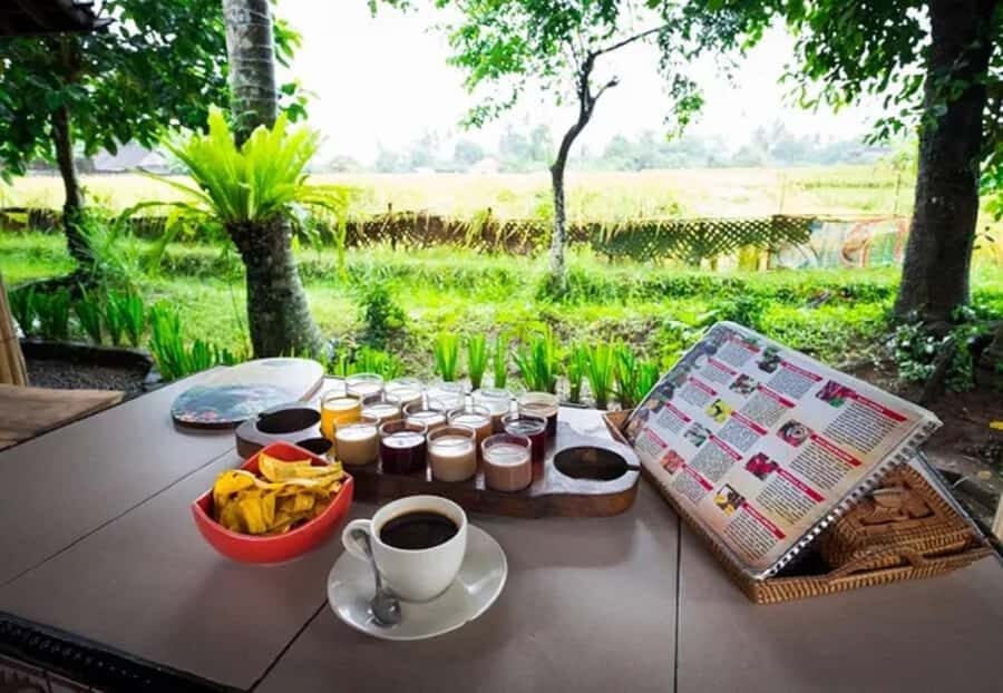 Bali: Taman Ayun, Jatiluwih, Ulun Danu, and Monkey Forest - Who is This Tour Best For?