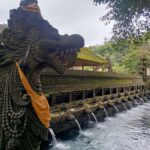 Bali: Tampaksiring Temples and Coffee Plantation Tour - Practical Details: What to Expect