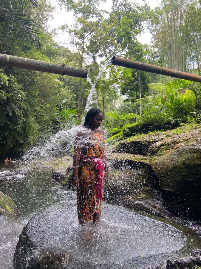 Bali: Taro Village and Holy Spring Water Temple Tour - Who Will Enjoy This Tour?