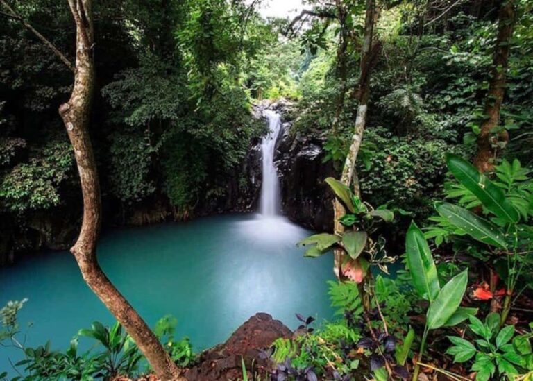 Bali: Top Highlights Private Full-Day Tour from Hotel - The Itinerary Breakdown and Its Significance