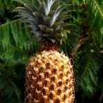 Bali: Traditional Farming Village Tour with Lunch - How it Feels to Join the Tour