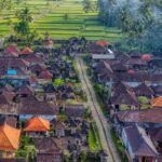 Bali Traditional Village Cooking & Magical Fireflies Tour - A Deep Dive into the Experience
