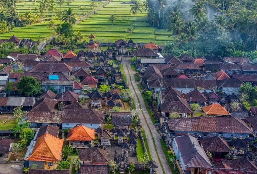 Bali Traditional Village Cooking & Magical Fireflies Tour - A Deep Dive into the Experience