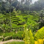 Bali Trilogy: Subak Irrigation, Waterfall & Ancient temple - Detailed Experience & Practical Insights