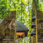 Bali: Ubud Adventure, ATV, Monkey Forest& Waterfall Tour - The Sum Up: Who Will Love This Tour?