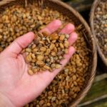 Bali: Ubud Day Trip With Barong Dance - Practical Details: What to Expect