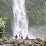 Bali: Ubud Full-Day Cultural and Nature Tour - What Makes This Tour a Great Value