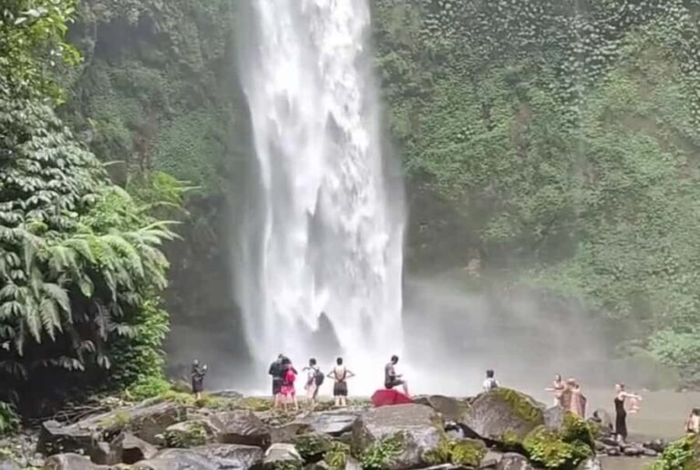 Bali: Ubud Full-Day Cultural and Nature Tour - What Makes This Tour a Great Value